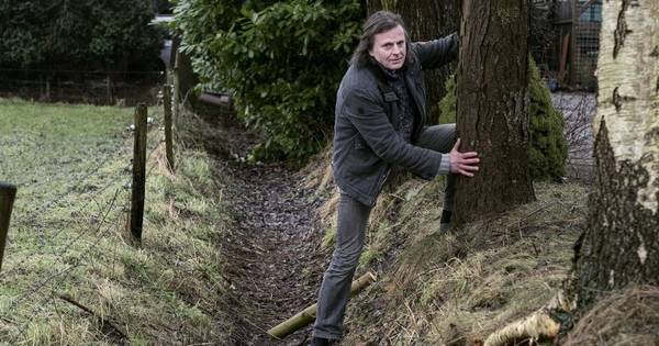 Geliefde gleditsia dreigt gerooid te worden - De Gelderlander