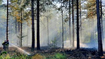 Opnieuw grote brand in Chaamse bossen, tweede keer in week tijd