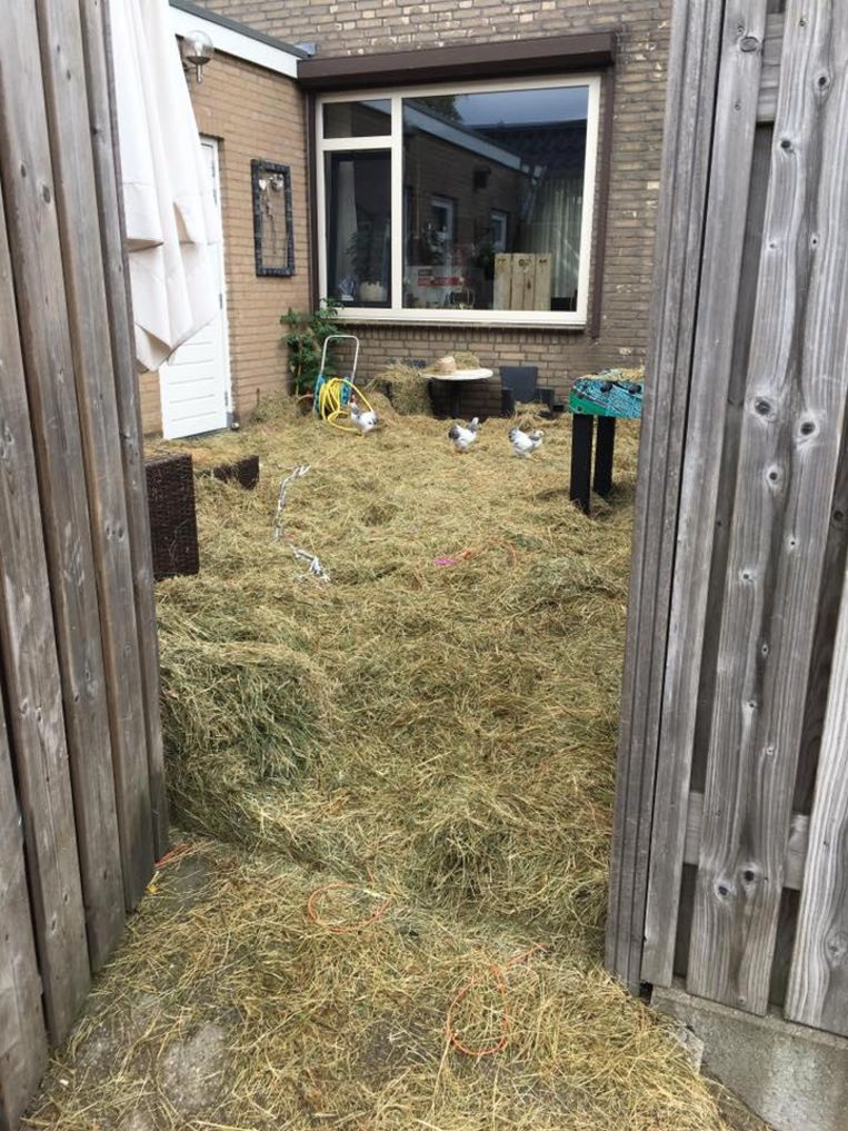 Toen Ze Thuiskwamen Van Hun Huwelijksfeest Wilden Ze Meteen Naar
