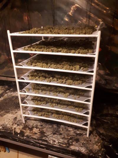 Kilo's hennep gevonden in het huis van ouders van Yuri van Gelder