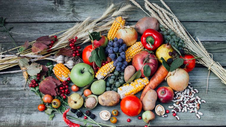 Een Appel Per Dag Zo Kom Je Wel Aan 5 Stukken Fruit En Groente Nina Kookt Nina Hln