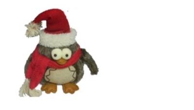 Intratuin waarschuwt voor uil met kerstmuts