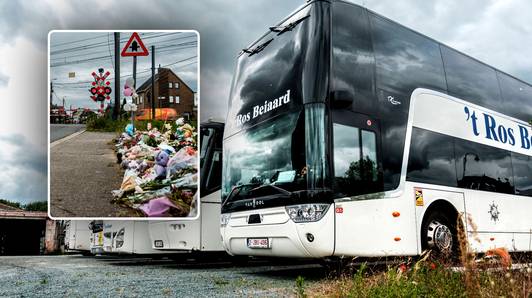 ‘t Ros Beiaard, het meest besproken busbedrijf van het land: wie zit daarachter en hoe staan ze er financieel voor?