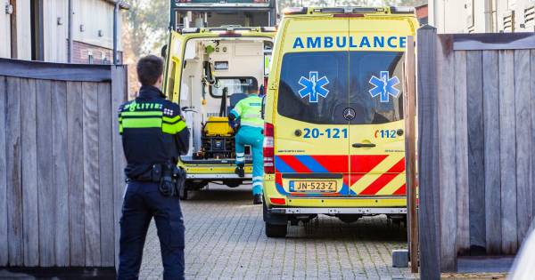 Zwaargewonde bij bedrijfsongeval paardenfokker in Wagenberg