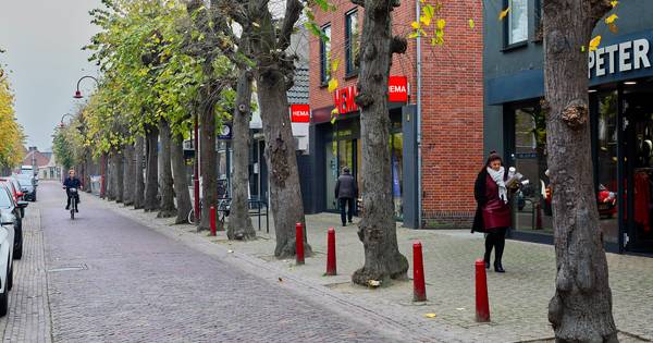 Kappen of niet? Zilverlindes Marktstraat in Made opnieuw onderzocht - BN DeStem