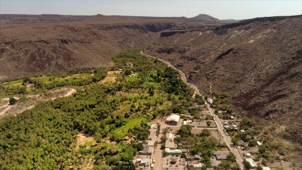 Oases, Sentinels of the Desert