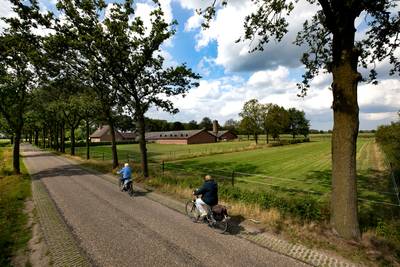 Is vonnis van rechtbank het begin van het einde voor megastal Spoordonk?