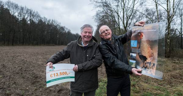 Een paradijs voor de patrijs in Montferland | Achterhoek - De Gelderlander