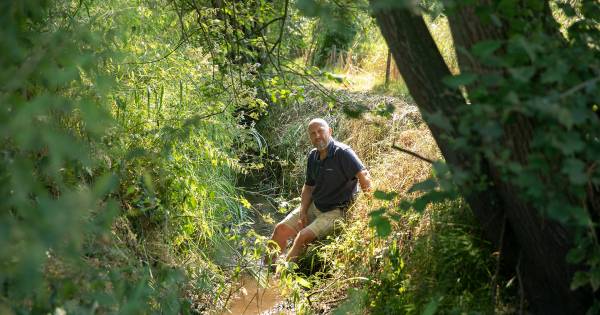 Oude waterputten Reusel bewijzen nut voor beekprik