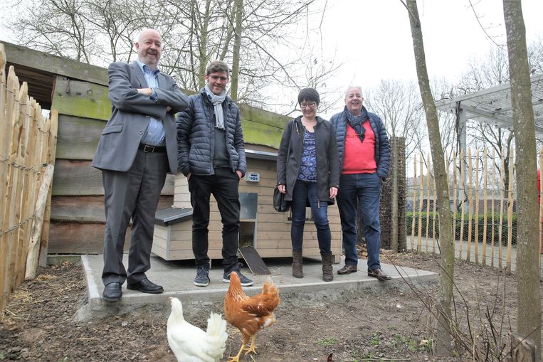 Vos Rooft Kippenhok Windmoleken Leeg Stadsbestuur Laat Automatische