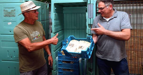 450 kilo asperges voor Voedselbank die noodkreet slaakt: 'Mensen lijden echt honger in ons land' - B