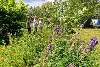Werken in de tuin zorgt voor zelfontplooiing