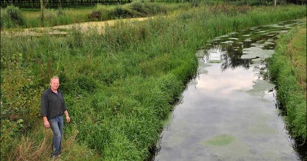 Verbazing over 'halvering' natuurzone langs Koningsvliet | Waalwijk, Heusden eo - BD.nl
