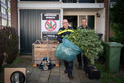 Ruimdag in Arnhem: De geur van wiet verraadt wietkwekerij