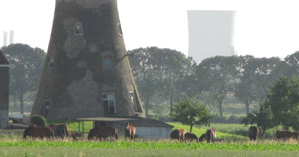 Poldermolen Schuddebeurs in de maag met terugbetalen subsidie