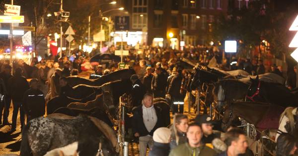 Aangifte tegen paardenmarkt Hedel: 'Toegangscontroles waren niet in orde' - BD.nl