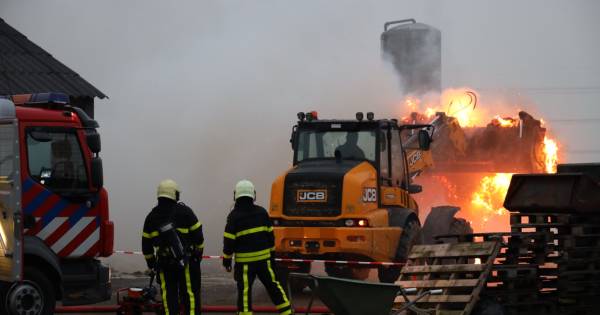 Twee geiten omgekomen bij grote stalbrand in Dongen.