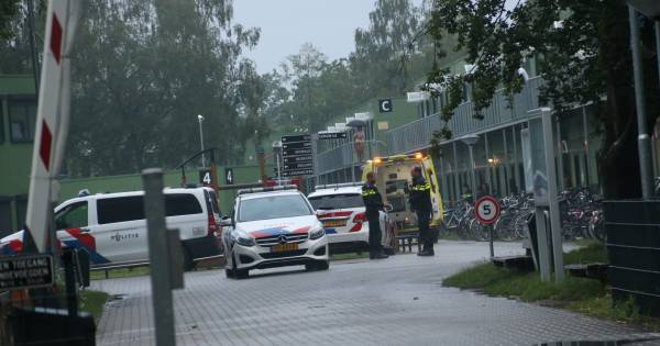Ruimen die hap!!! Weg ermee, vliegtuig op en retour. #azc #steekpartij #Harderwijk.