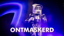 Ontmaskerd in The Masked Singer: Flitser