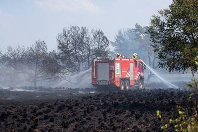 Brand Veluwe mogelijk aangestoken, verdachte aangehouden