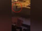 Les images d’une fusillade à la Kalachnikov lors du Nouvel An à Montpellier