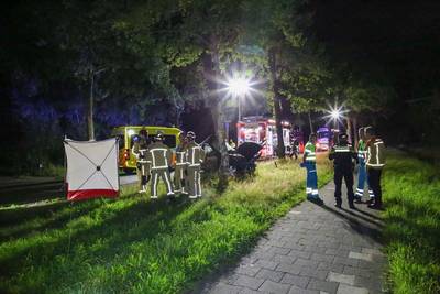 Automobilist zwaargewond nadat auto tegen boom rijdt in Lage Mierde