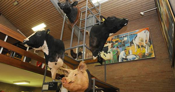 Streep door bouwplan Beers leidt tot verbazing bij oud-wethouder