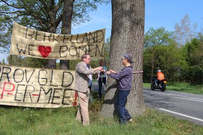 Kap van 343 eiken langs de N319 bij Ruurlo uitgesteld door provincie Gelderland
