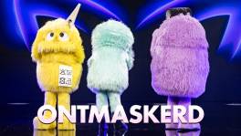 Ontmaskerd: Pluisjes, wie zijn jullie echt?