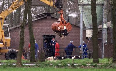 Toch weer extra zitting in rechtszaak MKZ-crisis in Kootwijkerbroek