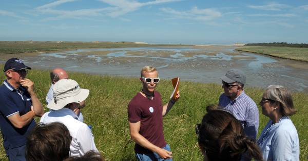 Zand in het Zwin maakt gauw plaats voor water - PZC