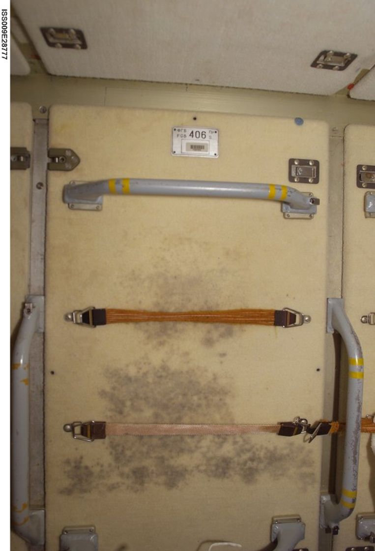 Aan de binnenzijde van het ISS moeten de astronauten wekelijks de wanden reinigen om de schimmels te verwijderen.