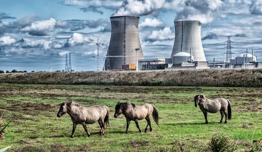 Na de sluiting van kerncentrale Doel 2: N-VA verhoogt druk op energieminister Mathieu Bihet (MR)