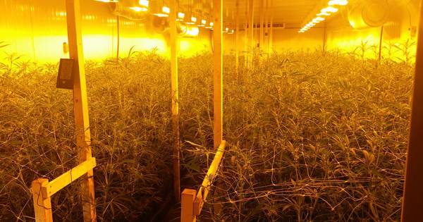 Berkelland praat over ondermijnende criminaliteit op platteland