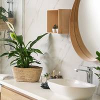 Déze planten zijn perfect voor in je badkamer