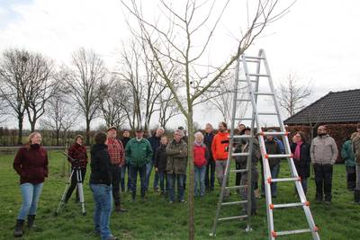 Appelternse vrijwilligers gaan met hoogstambrigade fruitbomen onderhouden