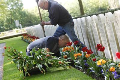 Nieuwe tulpen voor 'onze jongens' op Militair Ereveld De Grebbenberg