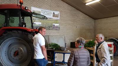 Hartje Breda goes Prinsenbeek: op bezoek bij de kweker