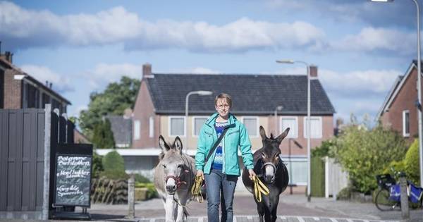 Broer en zus maken dagelijks een rondje door Albergen met hun ezels - Tubantia