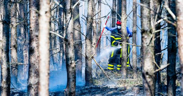 Natuurbrand woedt bij landgoed De Utrecht bij Esbeek | Tilburg eo - BD.nl
