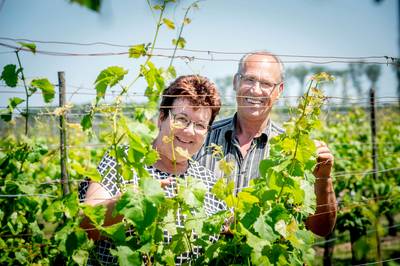 Gerrie wilde in Maas en Waal leven als een wijnboer in Frankrijk, ‘maar je kunt er de kost niet mee 