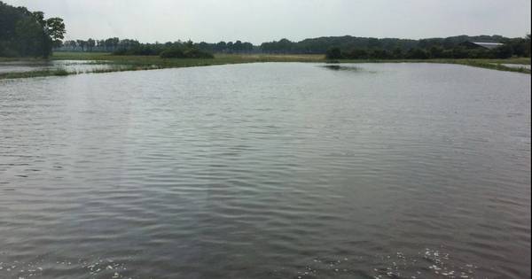 Water van de Reusel bij Diessen op hoogste punt ooit - BD.nl