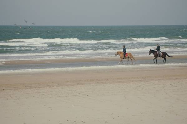 Oases in de Lage Landen