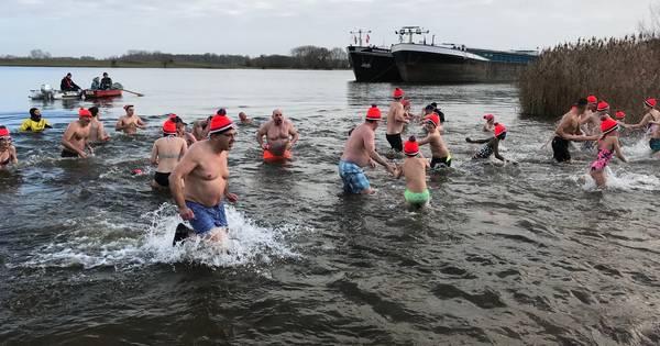 55 bikkels in Wijk en Aalburg nemen nieuwjaarsduik in Afgedamde Maas - BD.nl
