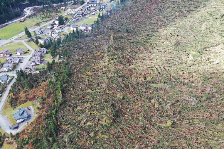 ‘Apocalyptische’ toestanden na noodweer Italië. Veertien miljoen bomen ontworteld