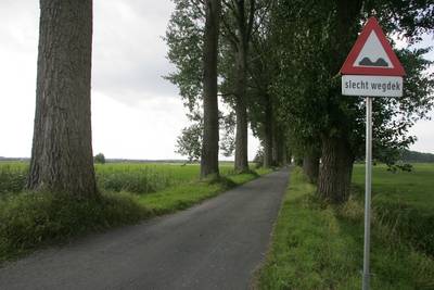 Laatste populieren langs Veensteeg in Wagenings Binnenveld gekapt