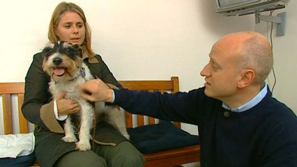 Aflevering 16