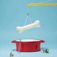 Tot op het bot: is bouillon van beenderen écht zo heilzaam als beweerd wordt?