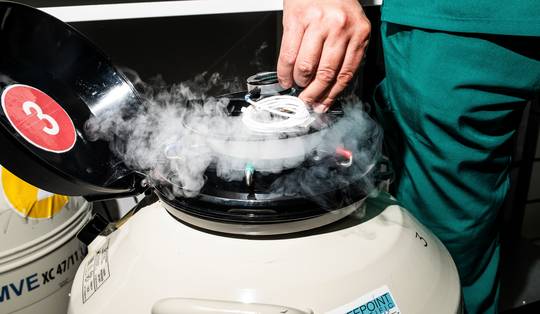 ‘Verjonging’ van eicellen kan grote impact hebben op IVF: ‘Spectaculair, als het wordt bevestigd’