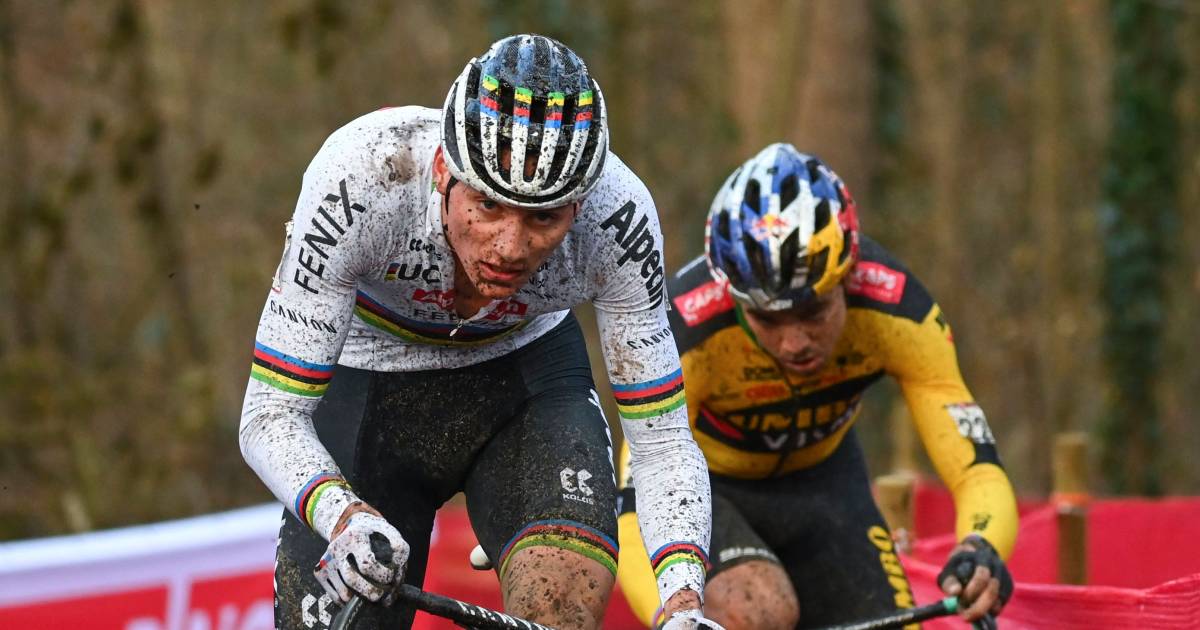 Cross Herentals Will Be A New Game Between Van Der Poel And Van Aert Cycling Netherlands News Live